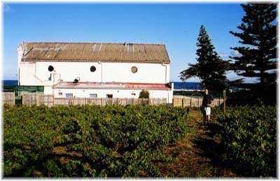 february 2004