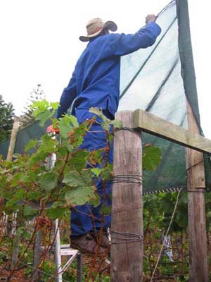 harvest 2008 ab