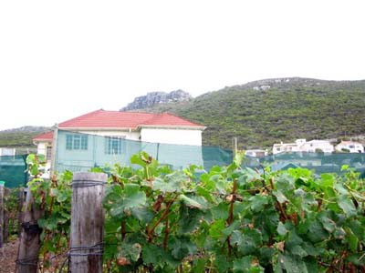 harvest 2008 g