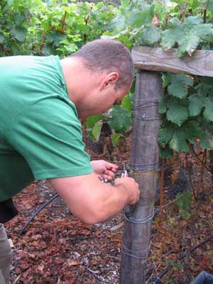 harvest 2008 q