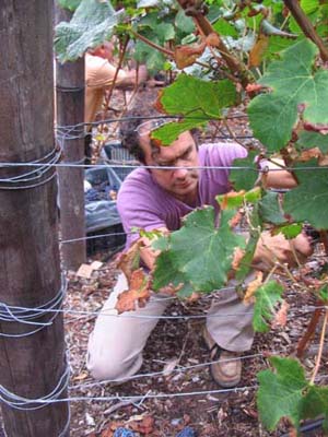 harvest 2008 s