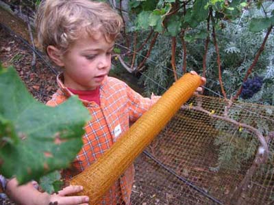 harvest 2008 t