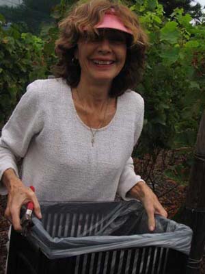 harvest 2008 u