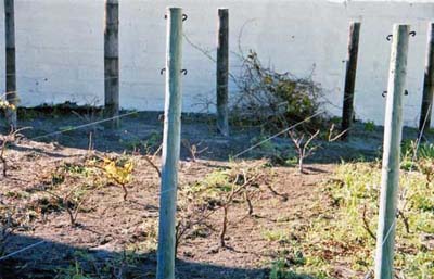 june 2004