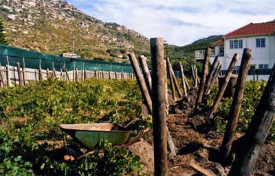october 2003