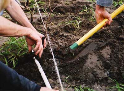 september2003c