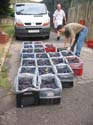 harvest 2008 ac