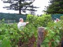 harvest 2008 b