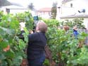 harvest 2008 c