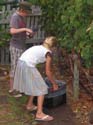 harvest 2008 i