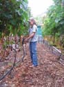 harvest 2008 j