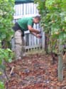 harvest 2008 k