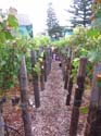 harvest 2008 n