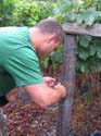 harvest 2008 q