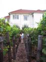 harvest 2008 r