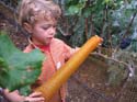 harvest 2008 t