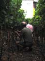 harvest 2008 v